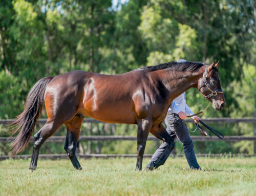 Brilliant Metro Double for Exceedance