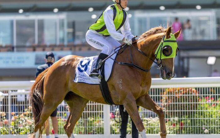 Dancing Stream - Morphettville winner for Headwater