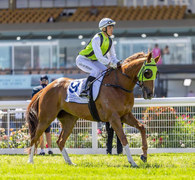 Dancing Stream - Morphettville winner for Headwater