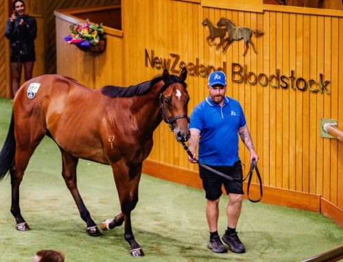 Breed for a Broader Market with Star Turn and All Too Hard