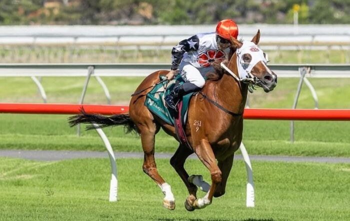 Racehorse Aitch Two Oh wins the Durbridge Stakes race