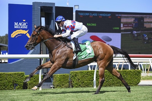 racehorse Everyone's A Star wins at Randwick with jockey Tyler Schiller