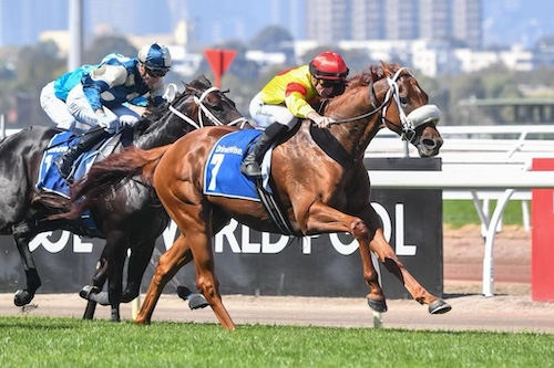 racehorse Arran Bay wins the Furphy Mile at Flemington