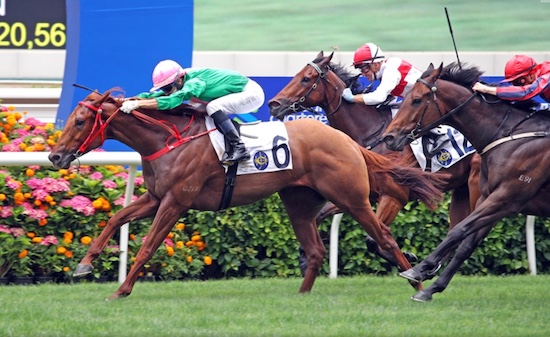 sha tin racing - bundle of charm wins