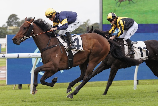 Swiftfalcon wins at Rosehill to become Exceedance's 5th winner