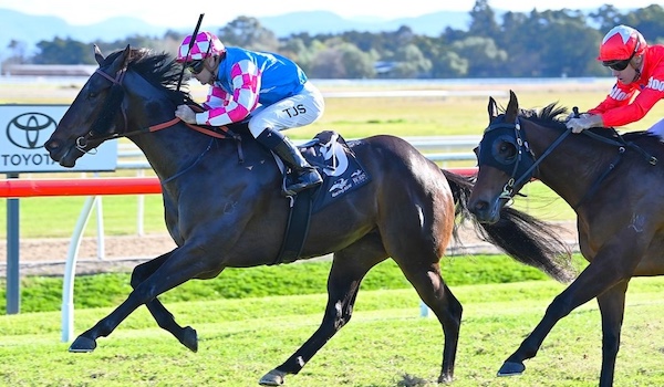 Glassout horse wins at Hawkesbury