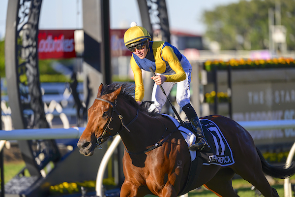 Stefi Magnetica wins Queensland's biggest race - the Group 1 Stradbroke Hcp