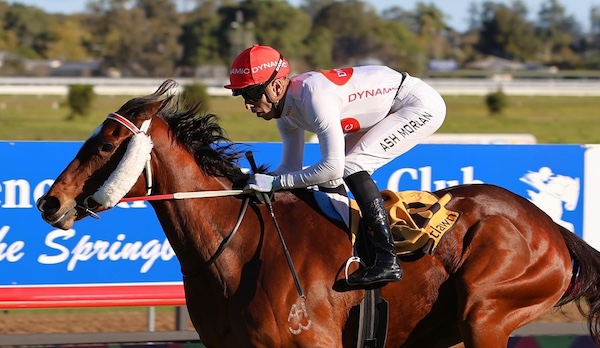 Rapt horse wins the Guineas