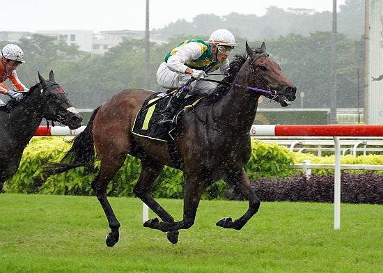 Racehorse called Stop The Water wins in the rain