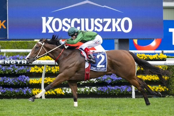 All Too Hard gelding wins richest country horse race in Australia in 2024