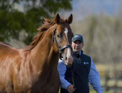 A HONG KONG/AUSTRALIAN TREBLE FOR STAR TURN