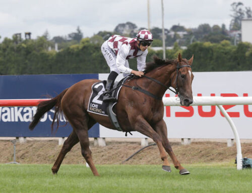 CONSISTENT BABYLON BERLIN EARNS TE RAPA FEATURE WIN