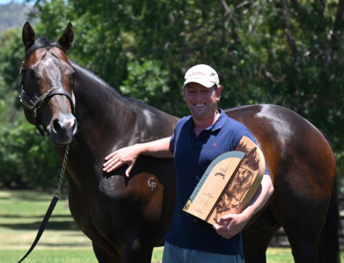 OLE KIRK FILLY WINS THE MAGIC MILLIONS WYONG 2YO CLASSIC