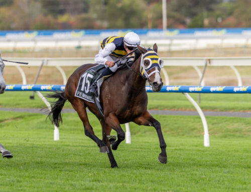 VINERY PRODUCES ANOTHER GROUP 1-WINNING GRADUATE