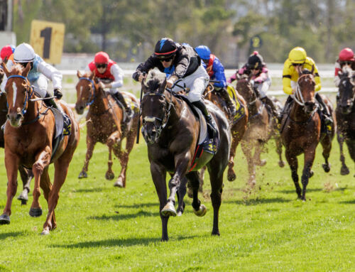 Ole Kirk Continues To Dominate The First Season Sires Table
