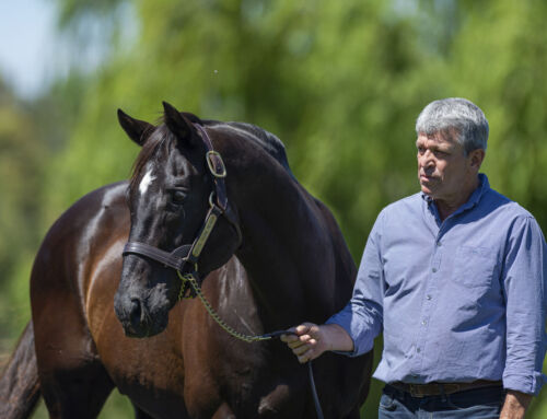 Media Release – Peter Orton to Depart Vinery Stud