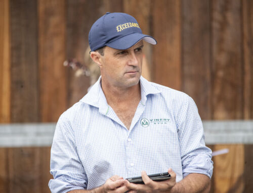 Vinery Stud Announces Adam White as Interim General Manager