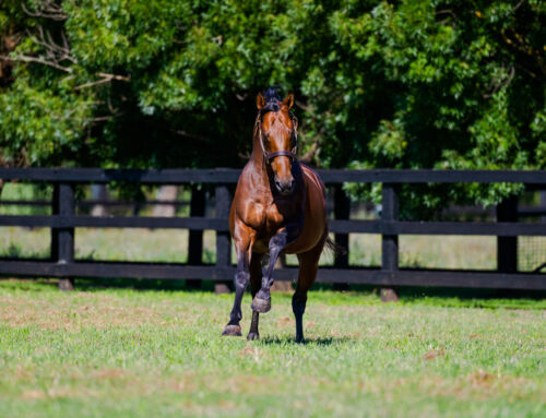 All Too Hard: Making His Presence Felt Across the Industry