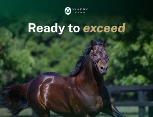 Ready to exceed