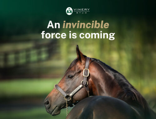 An invincible force is coming