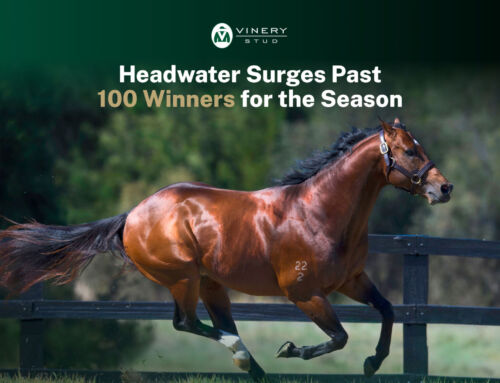 Headwater Surges Past 100 Winners for the Season