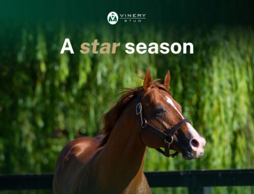 A star season