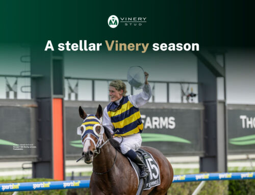 A Stellar Vinery Season