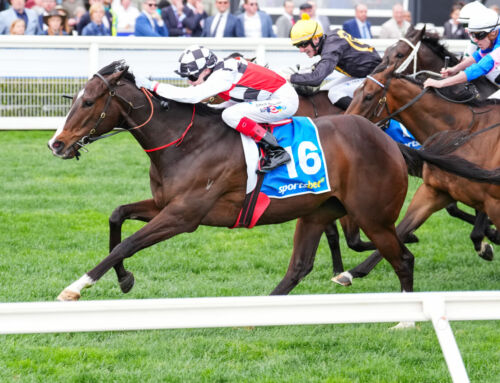 Sepals Soars into Spring with Group 1 Victory