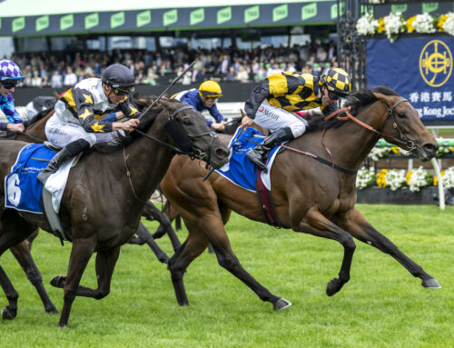 Exceedance Mare Goes Boom on Cup Day