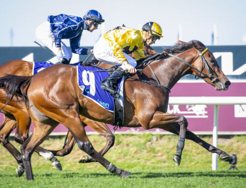 Two Group Winners in Two Weeks for Exceedance