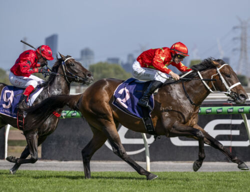 Four Stakes Winners for Vinery Graduates & Stallions