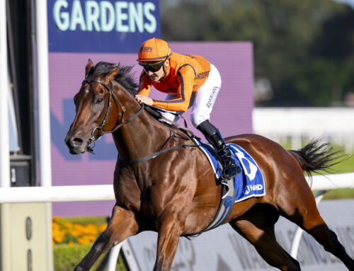 Vinery Families Shine: New Exceedance Stakes Winner, Gr.2 for Sixties & QTIS Jewel Victory for Fabulantes