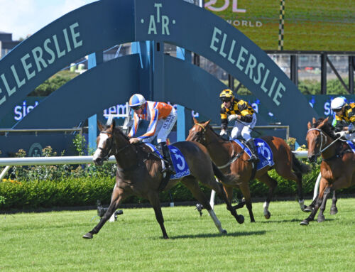 Four Stakes Results Headline a Big Weekend for Vinery