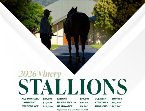 Vinery Unveil 2026 Stallion Roster