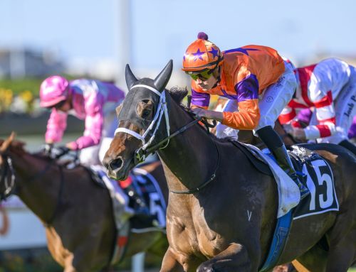 Stradbroke Next for Ole Kirk’s Regal Award and a Super Sunday at Sha Tin for All Too Hard