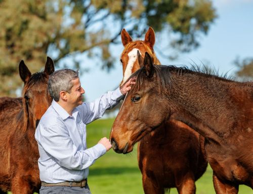 Vinery Welcomes Sebastian Angelillo to Sales and Nominations Team