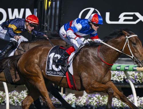 Vinery Graduates All Too Good with Spring Stakes Double