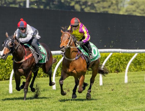 Fast Fillies for Exceedance and Ole Kirk at First 2YO Trials