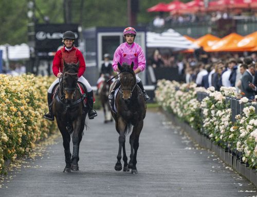 A Captivating Story Behind Captivant’s Second Stakes Winner