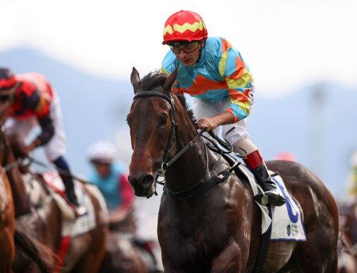A hot Hong Kong Sunday for Vinery Sires