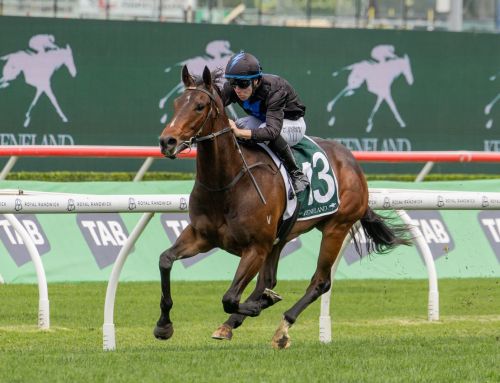 Ole Kirk’s Shraddha Makes a Statement in Gimcrack