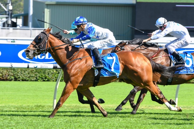 Mossman Galloper Crack_Me_Up wins 5th Stakes race