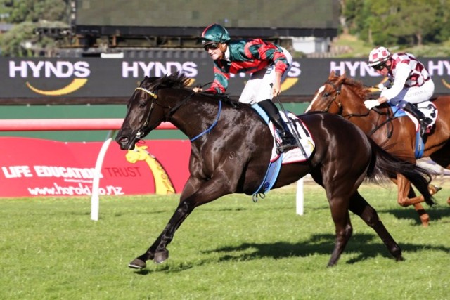 More Than Ready filly Spring Heat wins Gr.3