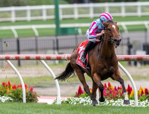 VINERY TOPS MM VIRTUAL AUGUST SALE WITH MARAB