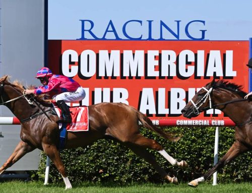 STAR TURN FILLY STRIKES IN GUINEAS