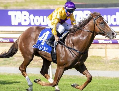 COLOSSAL DOUBLE FOR BEAUTIFULLY BRED ‘BIG V’ COLTS
