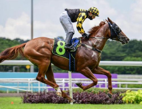 STAR TURNS SET FOR SINGAPORE TRIPLE CROWN