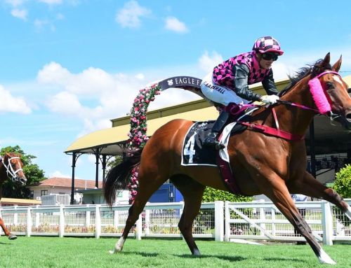 STARTANTES GENUINE GROUP 1 CLASS FOR WINTER CARNIVAL