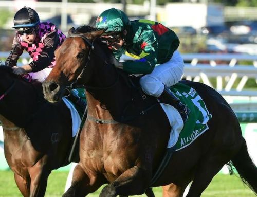 CALL TO ARMS STRADBROKE WIN BY ALLIGATOR BLOOD