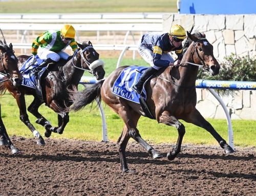 HEADWATER TYPHOON SET FOR QUEZETTE STAKES